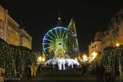 targ-de-craciun-timisoara-2025-12