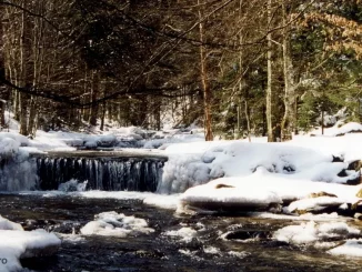 natura protejata - parc național Semenic