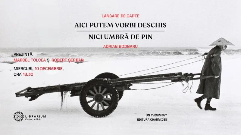 Aici putem vorbi deschis - poezii de Adrian Bodnaru