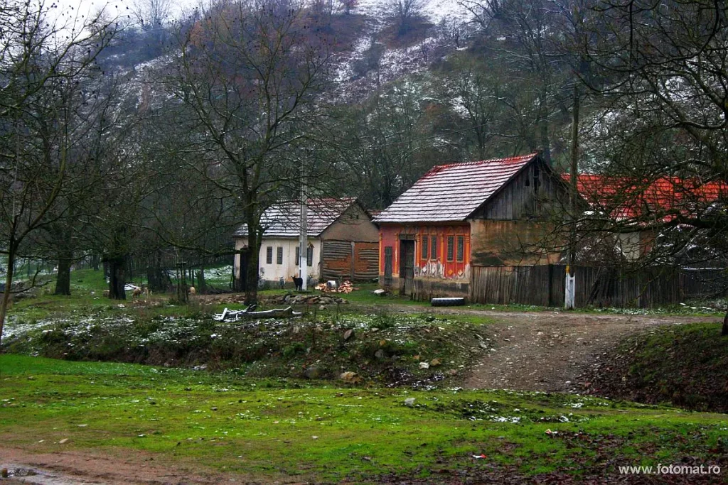Calina sub începutul de iarnă Calina iarna sat Caras Severin